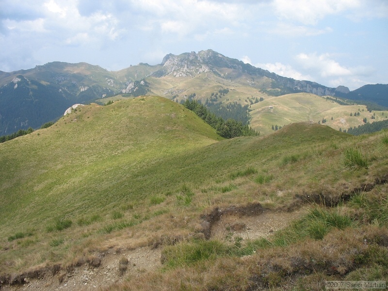 IMG_6433.jpg
