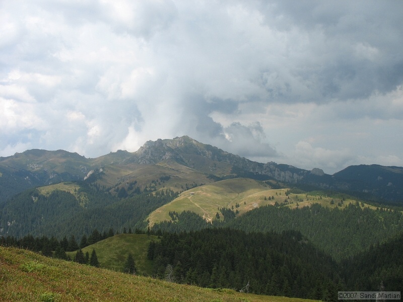 IMG_6438.jpg