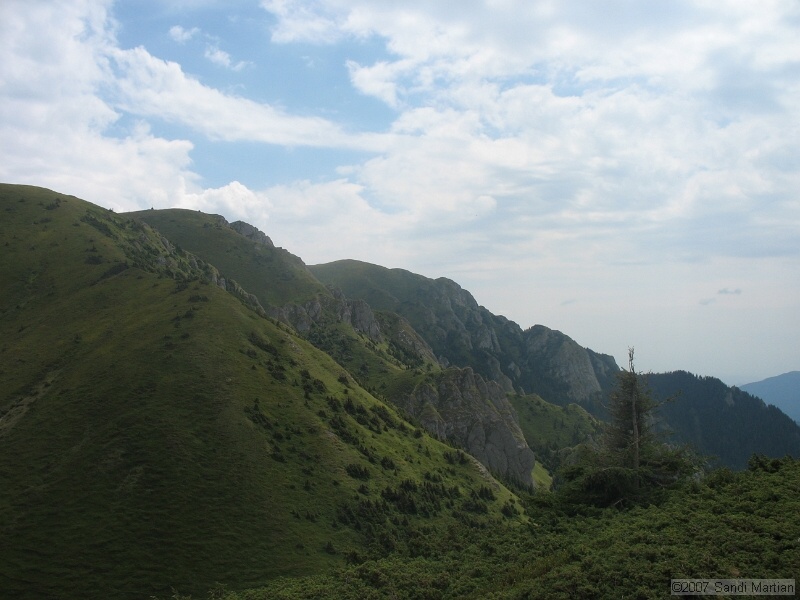 IMG_6441.jpg