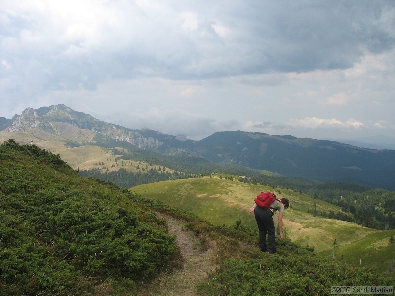 IMG_6443.jpg