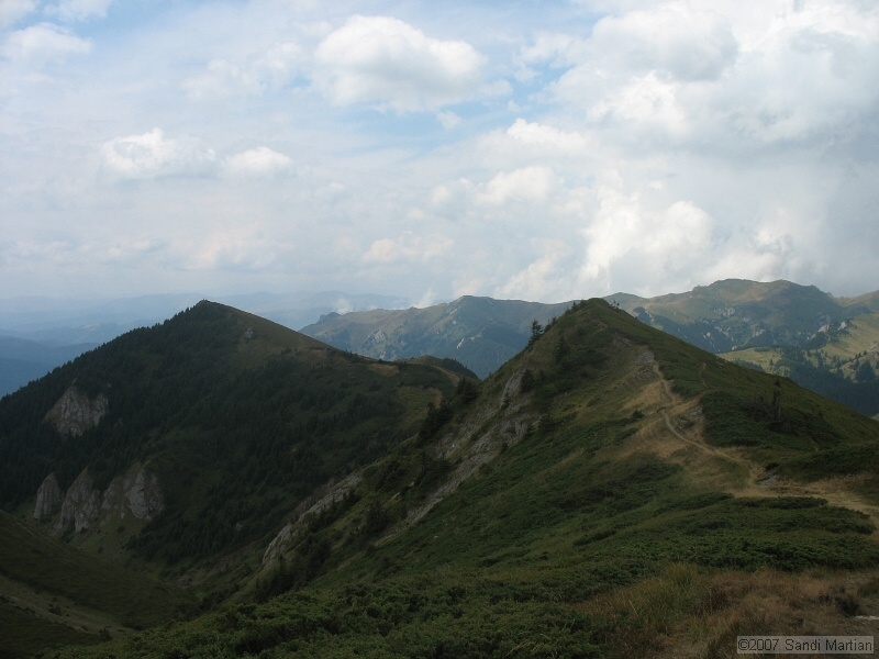 IMG_6446.jpg