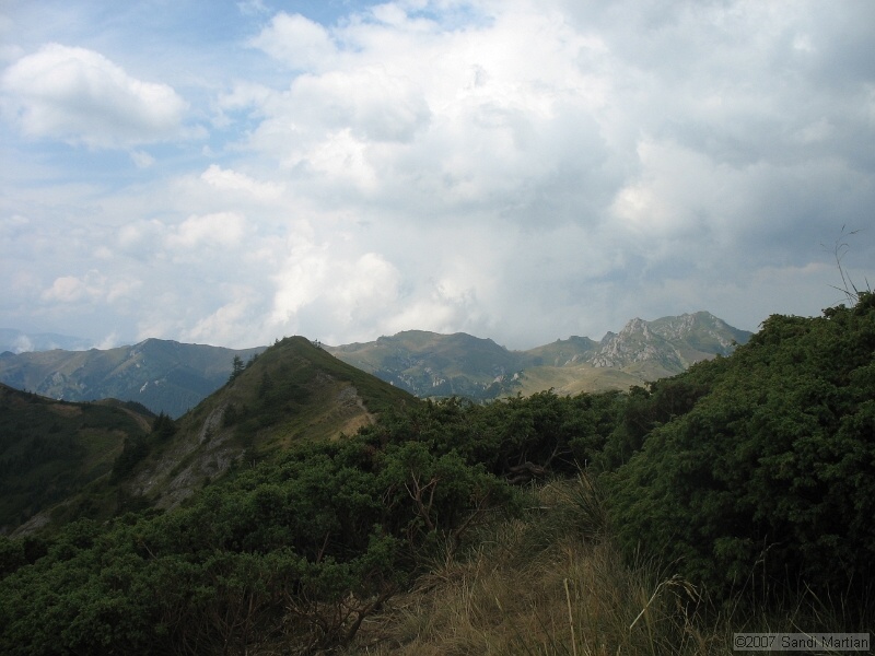 IMG_6447.jpg
