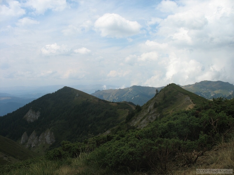 IMG_6449.jpg