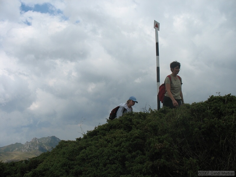 IMG_6450.jpg