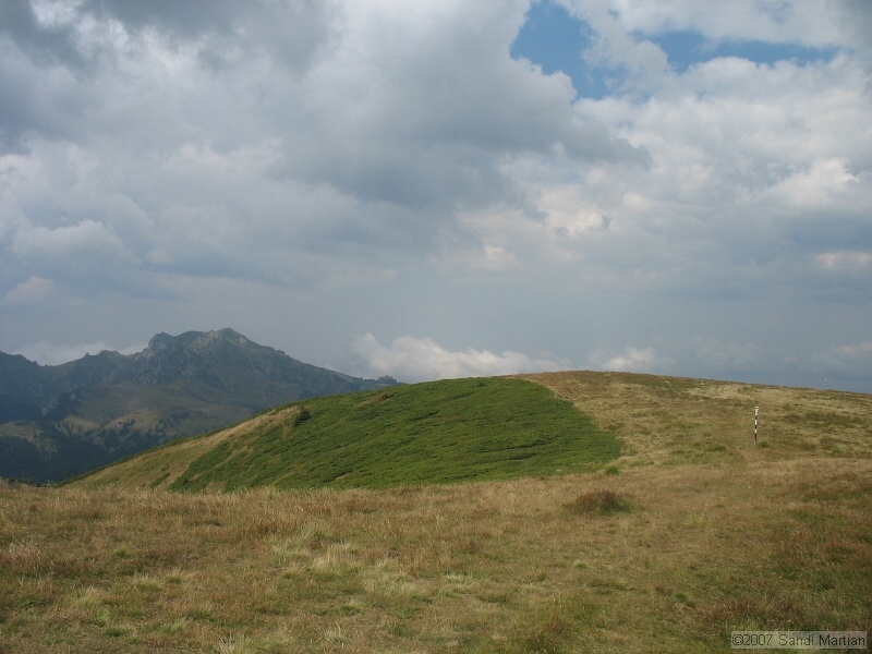 IMG_6451.jpg