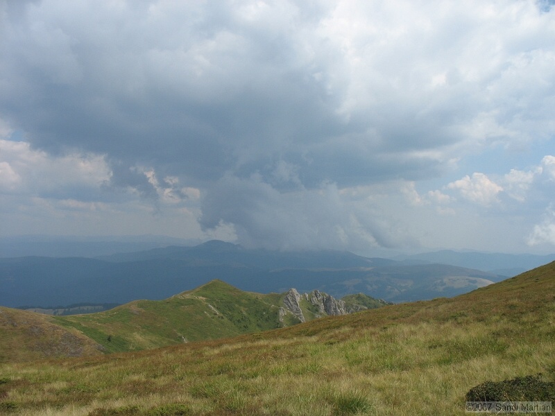 IMG_6454.jpg