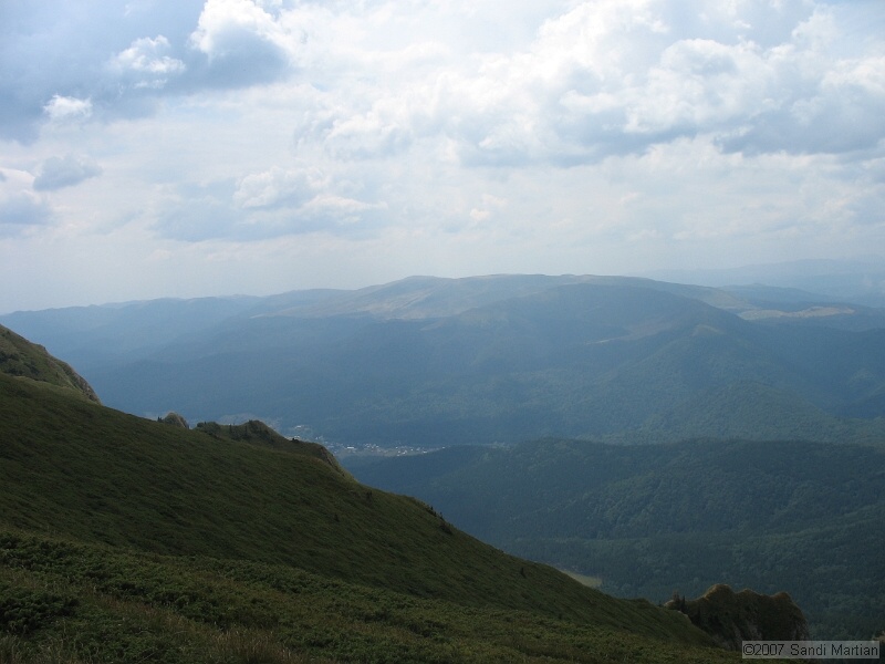 IMG_6460.jpg