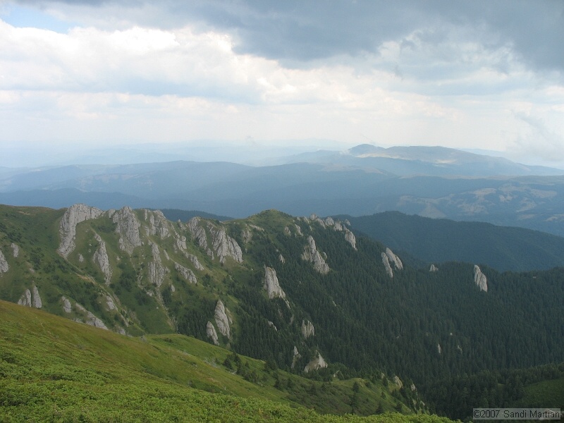 IMG_6462.jpg