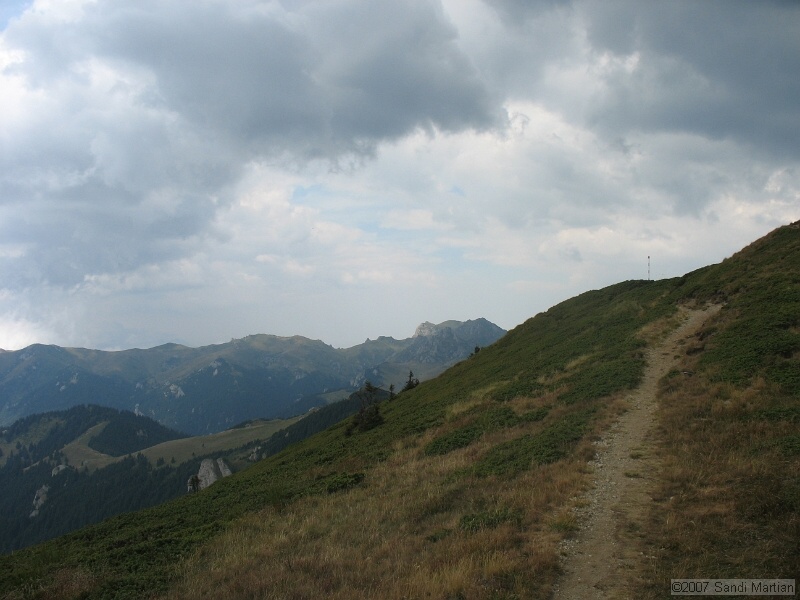 IMG_6464.jpg