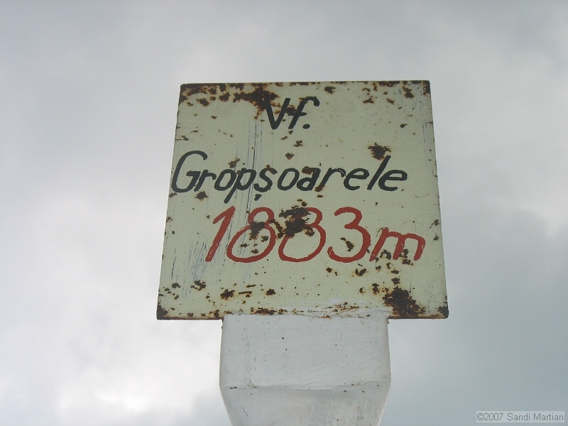 IMG_6466.jpg