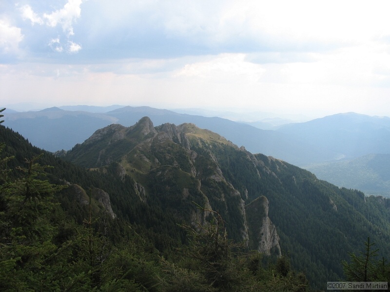IMG_6467.jpg