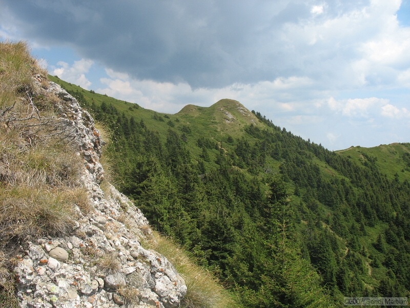 IMG_6473.jpg