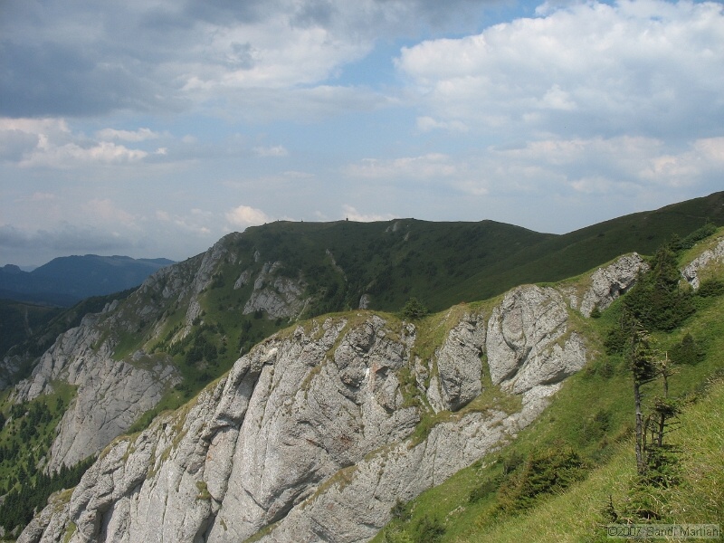 IMG_6474.jpg