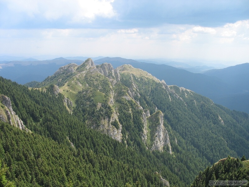 IMG_6475.jpg