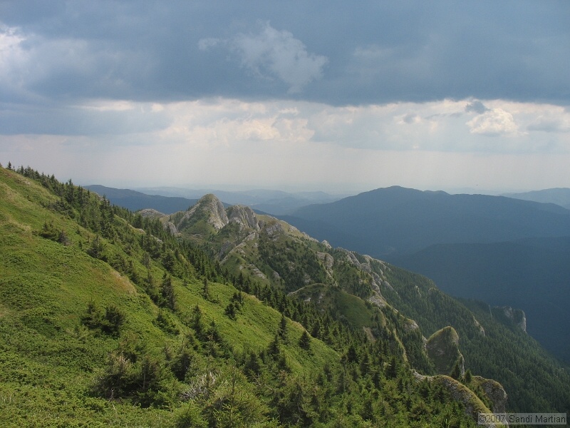 IMG_6481.jpg