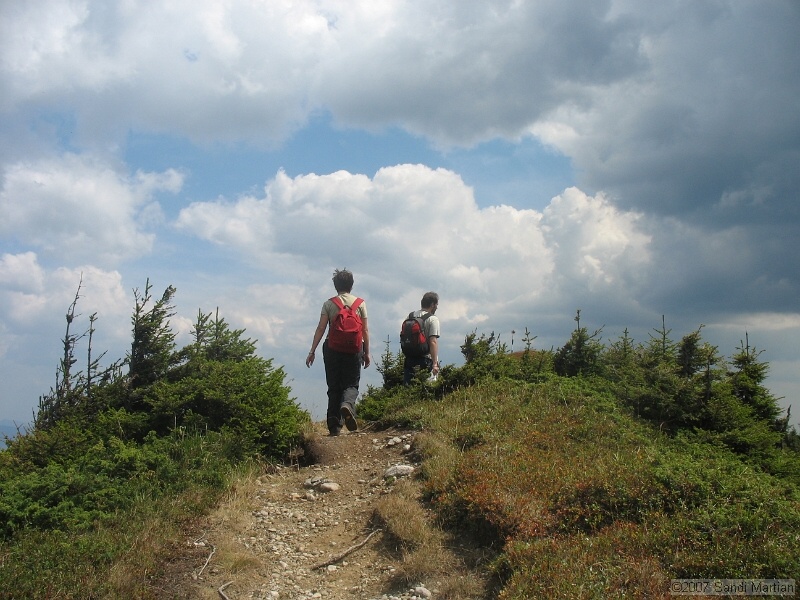 IMG_6483.jpg