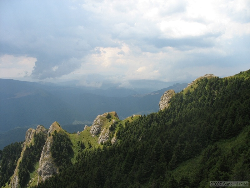 IMG_6484.jpg