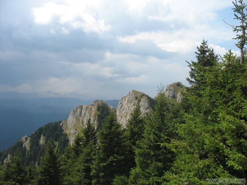 IMG_6488.jpg