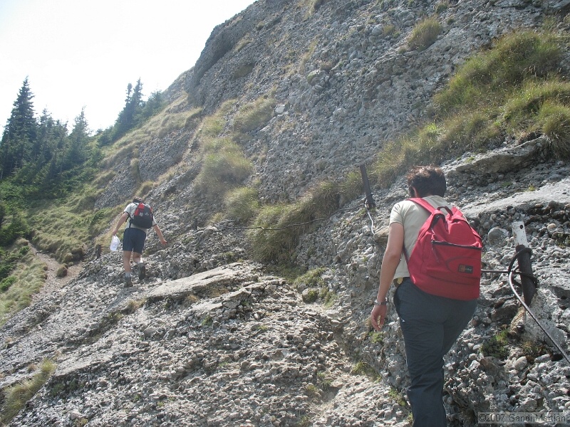 IMG_6490.jpg