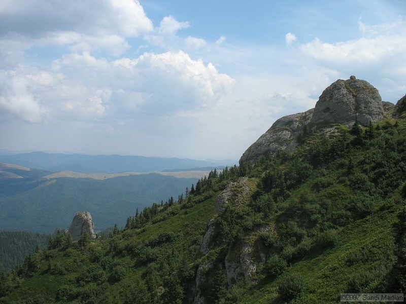 IMG_6492.jpg