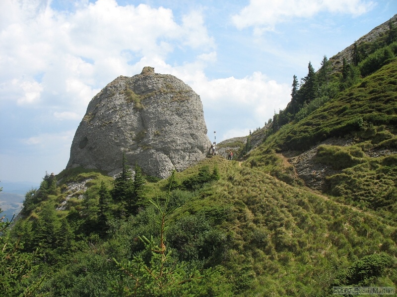 IMG_6494.jpg