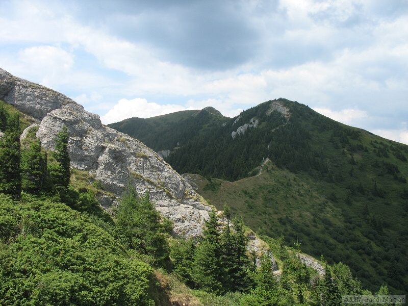 IMG_6495.jpg