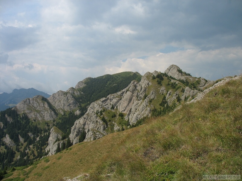 IMG_6500.jpg