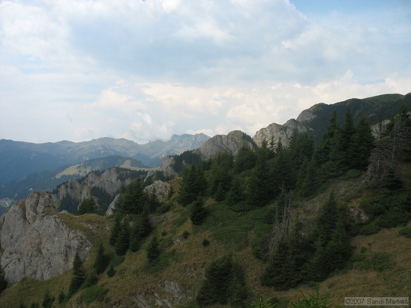IMG_6502.jpg