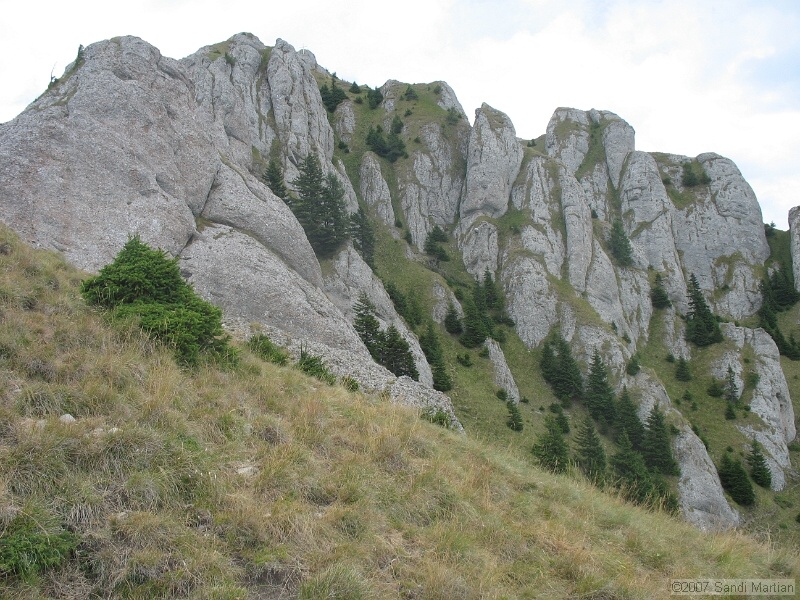 IMG_6504.jpg