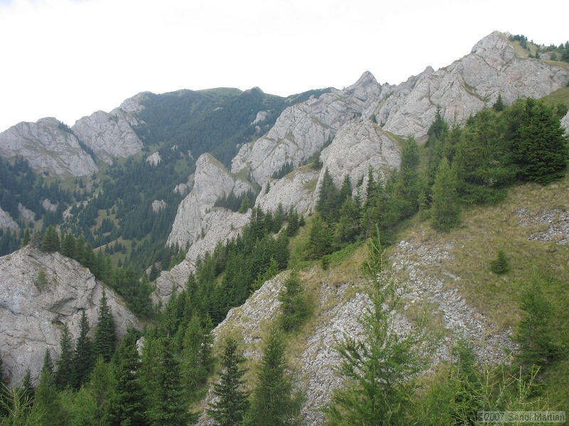 IMG_6514.jpg