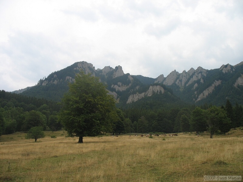 IMG_6515.jpg