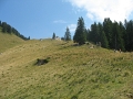 IMG_6409