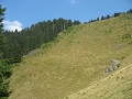 IMG_6410