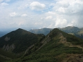 IMG_6446
