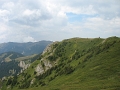 IMG_6455