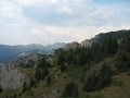 IMG_6502