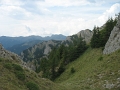 IMG_6507