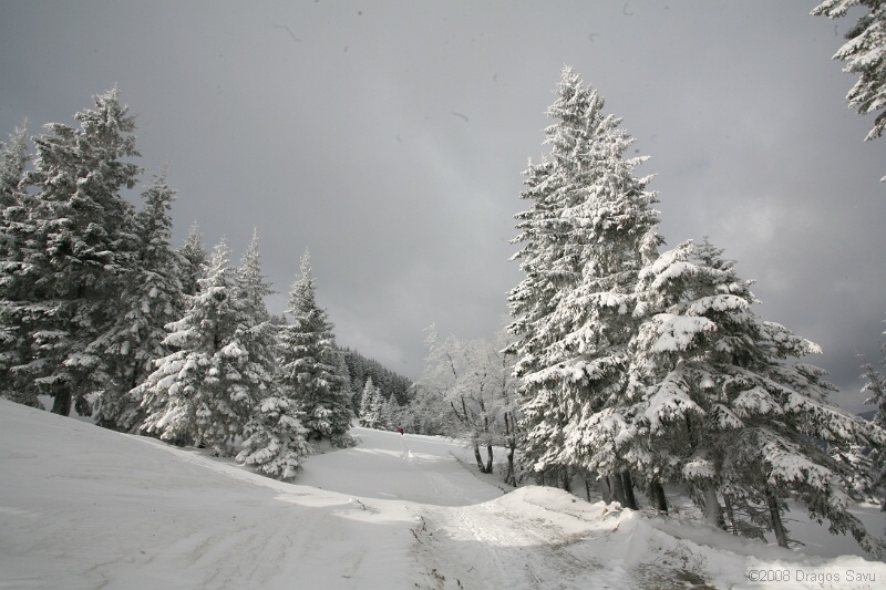 IMG_6344.jpg