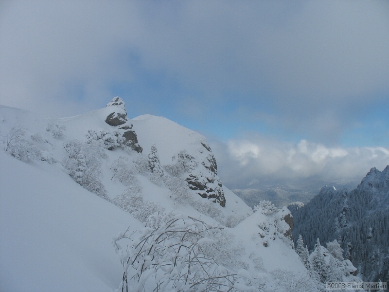 IMG_8187.jpg