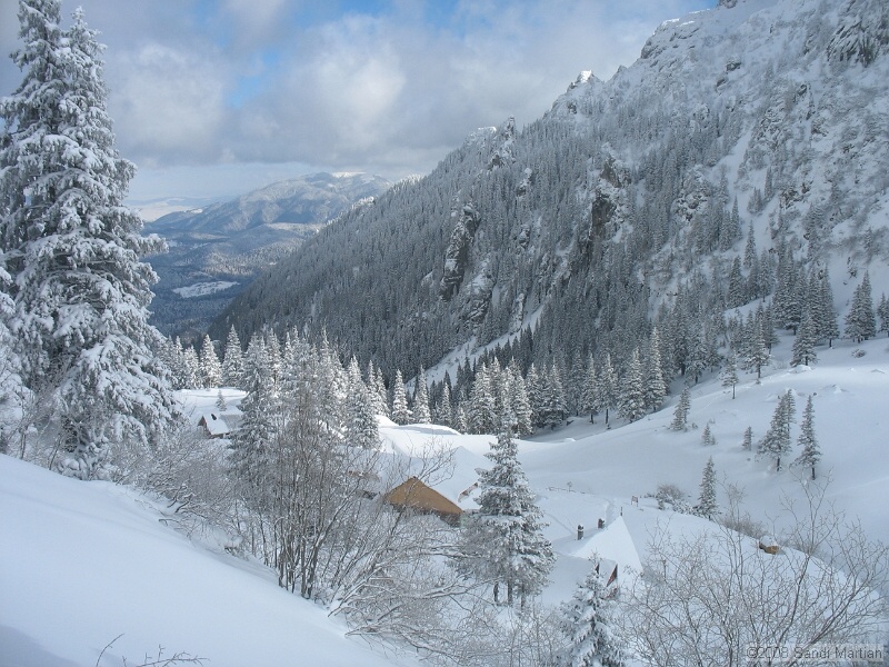 IMG_8205.jpg