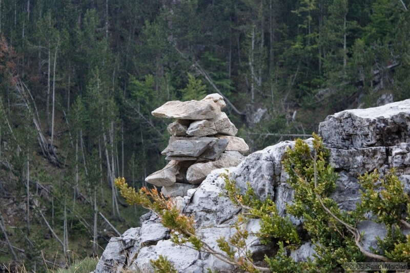 IMG_2163.jpg