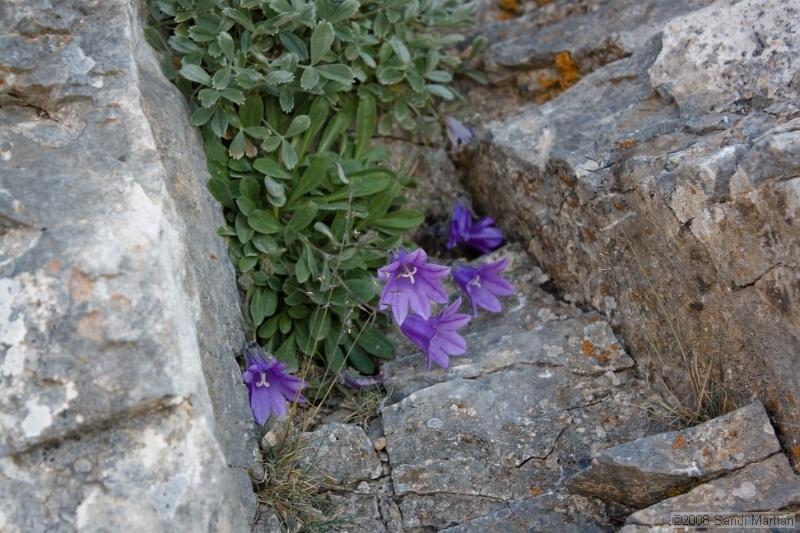 IMG_2235.jpg