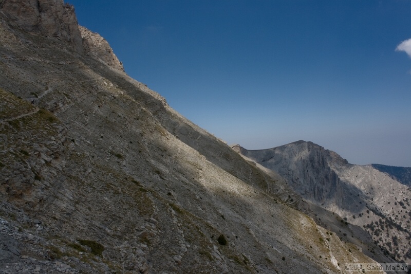 IMG_2269.jpg