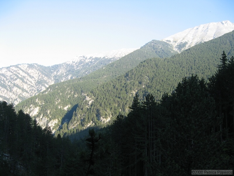 IMG_8681.jpg