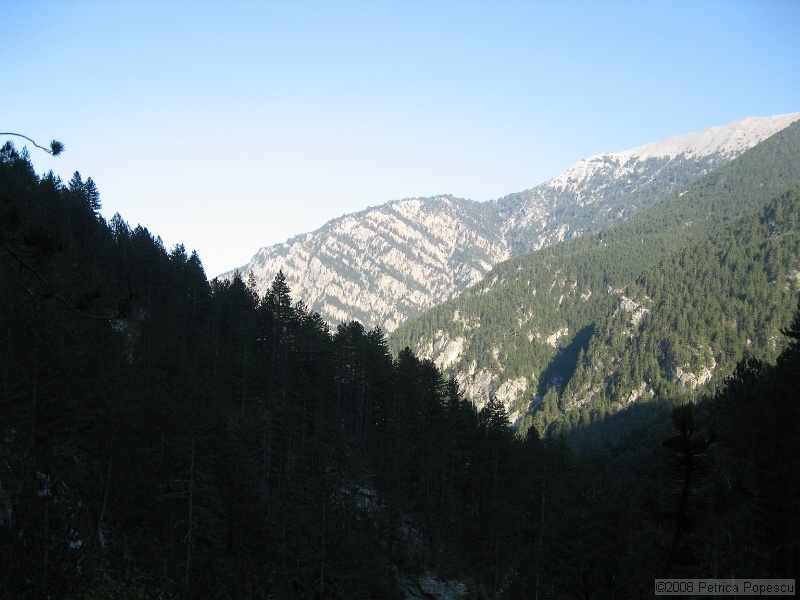 IMG_8682.jpg
