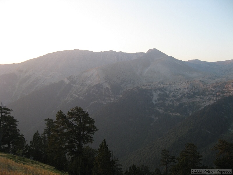 IMG_8686.jpg