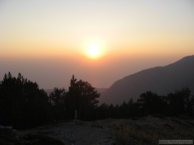 IMG_8689.jpg