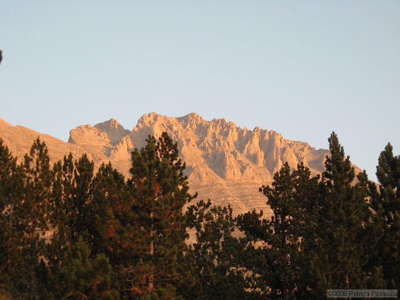 IMG_8692.jpg