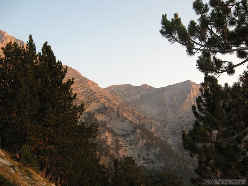 IMG_8694.jpg