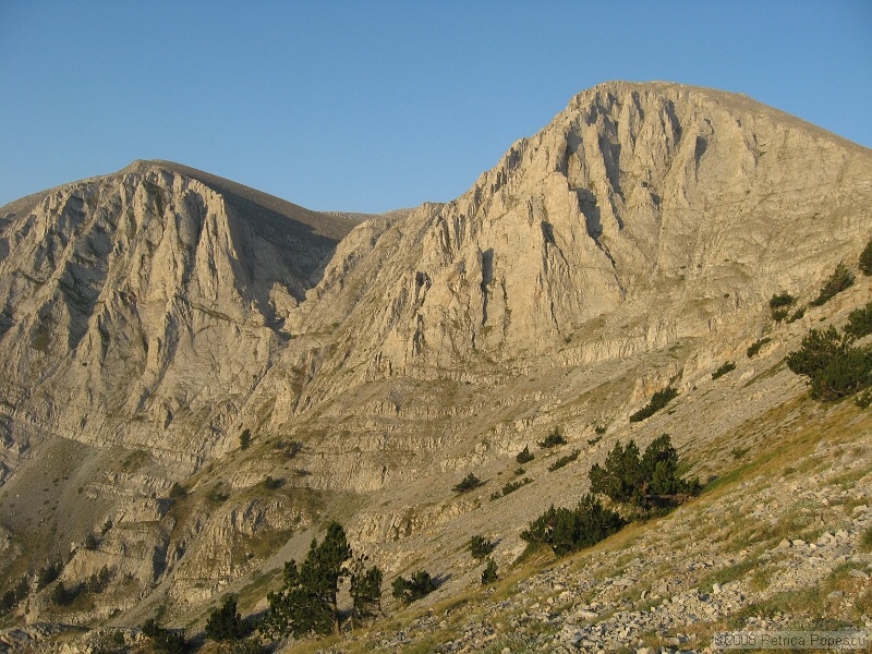 IMG_8698.jpg
